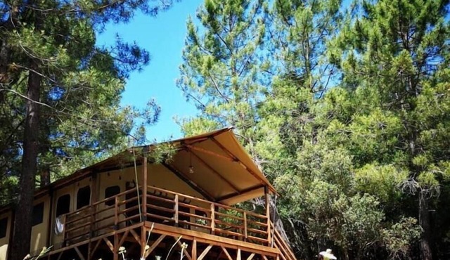 An unforgettable stay in Corsica - Lodge Alba Scel