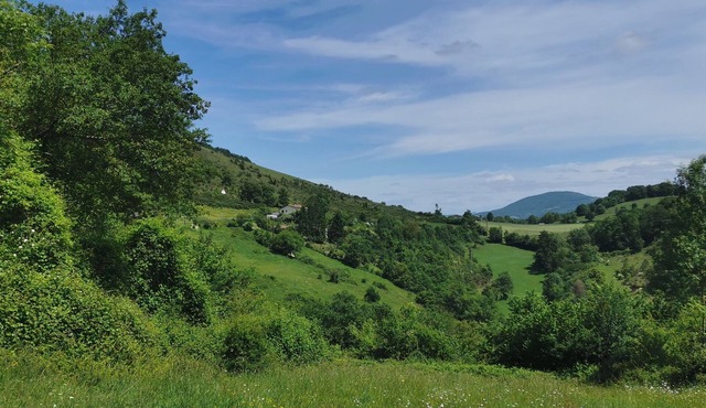 An unusual night in the heart of nature