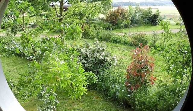 An unusual night in a gypsy caravan, with hotel services in the middle of nature.