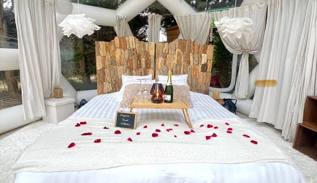 An unusual night on the lakeshore under a Dome