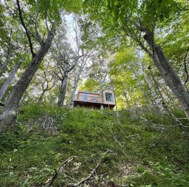 Ananda - Enchanted Forest Hideaway