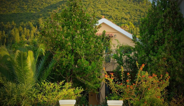 Anassa Boutique Beach House | Registration number 00000855271