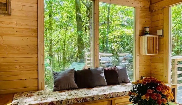 Anastasia’s Domain 3 Treehouse, Farm stay, off grid cabin in a beautiful forest!