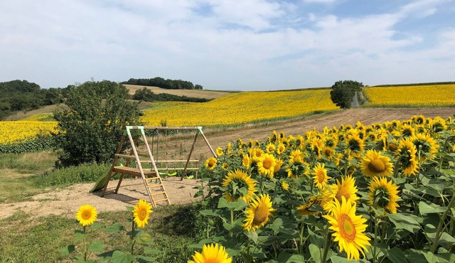 Ancien Corps de Ferme au Milieu des Tournesols