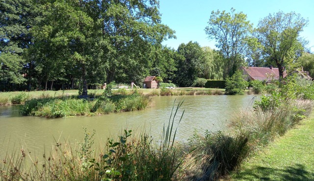 Ancien Moulin sur 5 Hectares Venez Vous Ressourcer