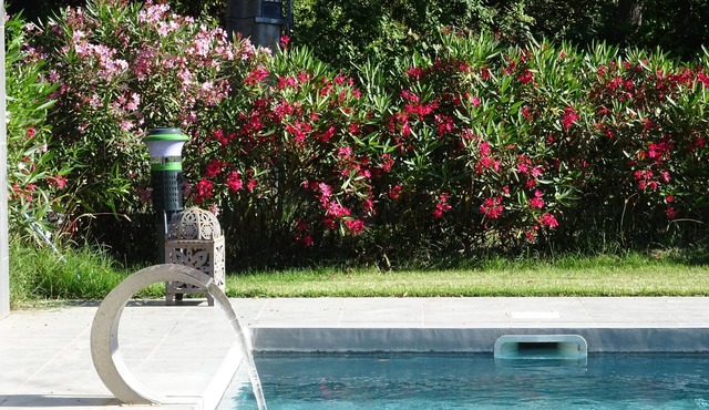 Ancienne Commanderie, 18 pers, private heated pool and garden, quiet location
