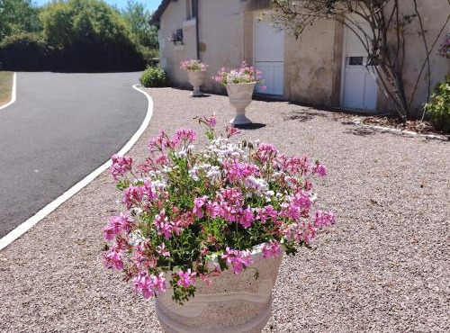 Ancienne ferme avec jardin, trampoline et pétanque entre Valençay et Beauval - FR-1-591-217