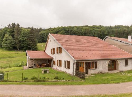 Ancienne ferme rénovée dans les Vosges - FR-1-583-487