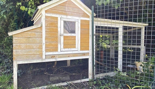 Ancient house all-inclusive with garden and pets allowed