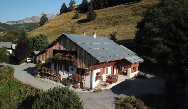 ANCOLIE JOLY - UGINE