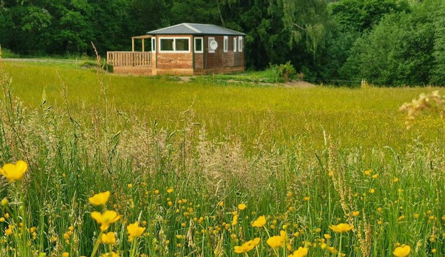 And why not?.rent a mobile home in the heart of nature