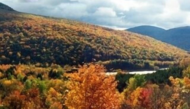 Andes Cabin Retreat-Spectacular View Adjoining ~NYC~ Reservoir, short/long term