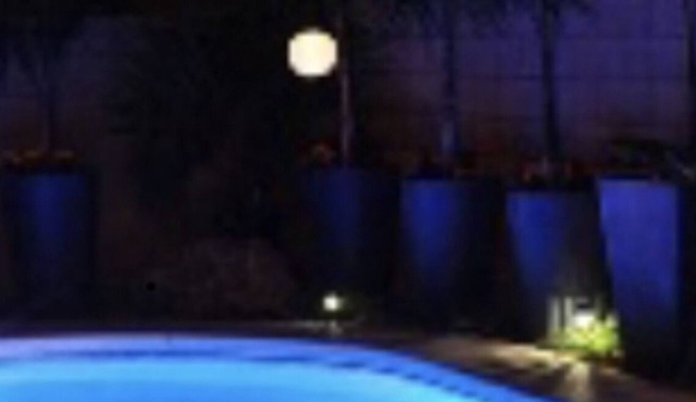 Andrea and Curt Paradise Island