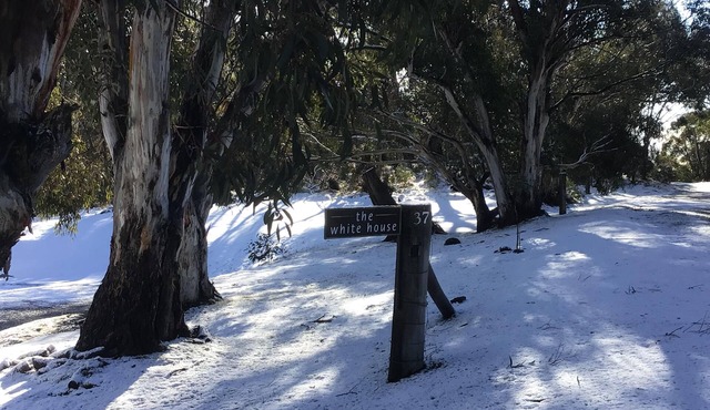 Andrea's White House Residence, a tranquil escape on 5 acres of natural bushland