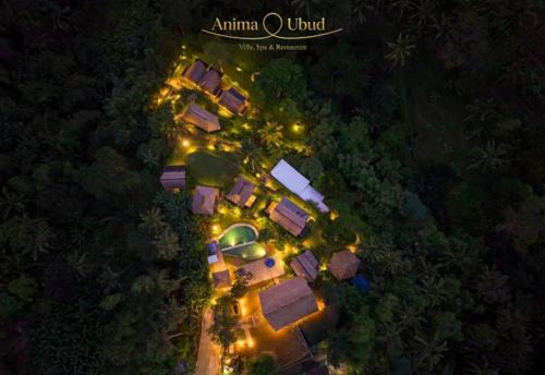 Anima Villa Ubud