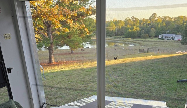 Animal Farm Experience, 3-bed (2 qn 1 king) rv home in the Valley