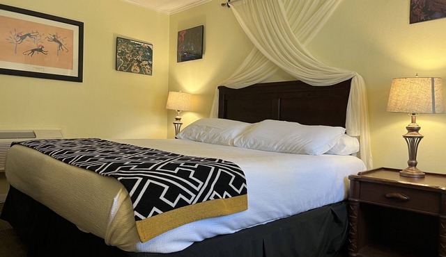 Animal Kingdom Room at Hotel Marceline