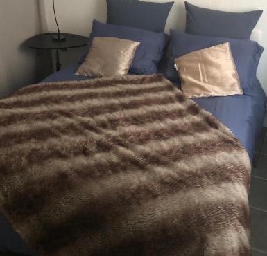 Anne Sophie Chambre chez lhabitant