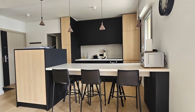 ANNECY CENTRE, face au lac, Terrasse Vue, Standing, 4 pers