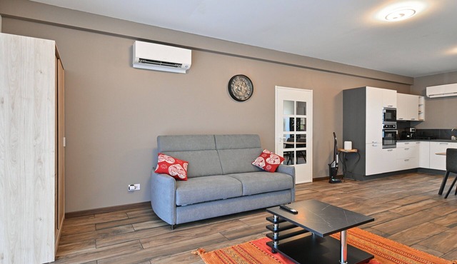 Annecy: Renovated & Stylish 42 m² Studio – Wi-Fi and Air Conditioning