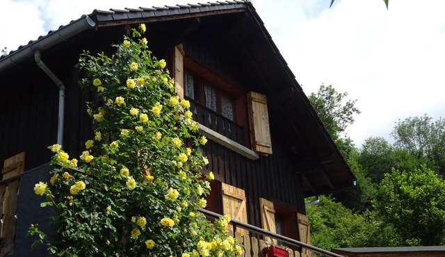 Annecy Talloires, "Chalet de LA SCIERIE" exceptional setting peace and quiet