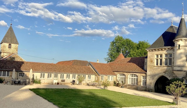 Annex to a 12th /18th c. castle, recently restored, swimming pool, parc