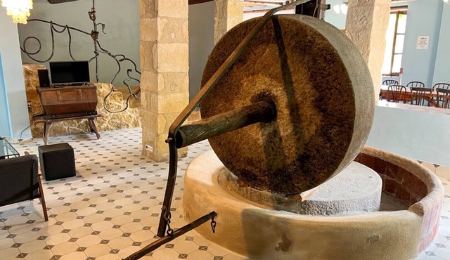 Antiguo Molino - Apartment with over 200sqm (former olive mill)