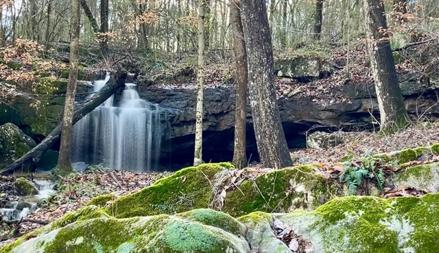 Antique log cabin with waterfall and 360 degree views of beauty!