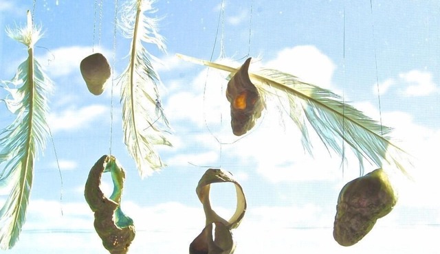 Antique Salt Box Traditional Newfoundland House