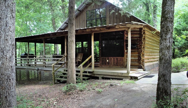 Antlers - An authentic log cabin experience in the forest at Stag Leap Cabins!