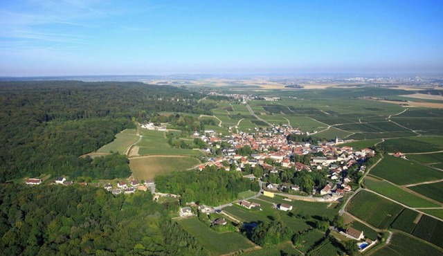 ANTOINETTE COTTAGES. COTTAGE FIZZY POP