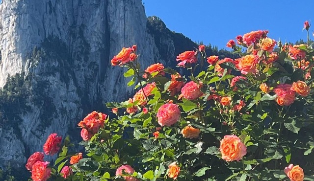 Apartment panoramic view Vercors
