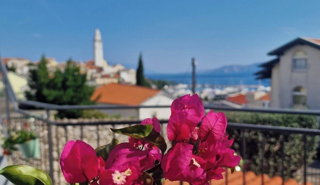 Apartment Goran (61671-A1) - Novi Vinodolski (Crikvenica)