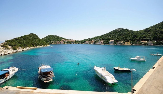 Apartments Ivka (53971-A3) - Zaklopatica - island Lastovo