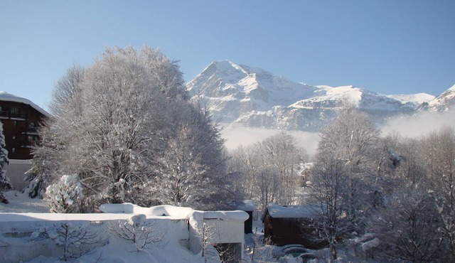 APART. 4 Pers. with GARAGE-200M Village Exposition Plein SUD