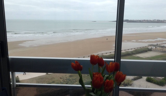 APARTMENT FACING SEA - ST GILLES CROSS OF LIFE - DIRECT ACCESS BEACH ON FILLING