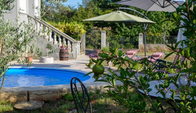 Apartment Villa Oliva with private swimming pool