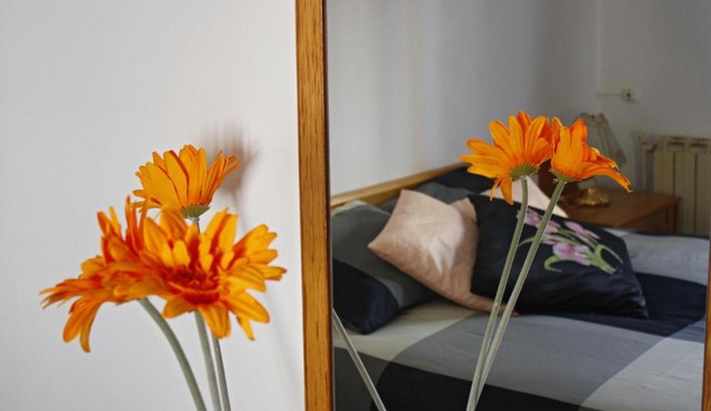 Apartament Sant Joan