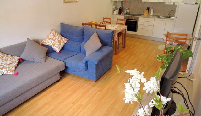 Apartament Besalú