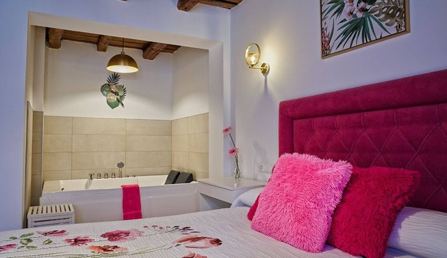 APARTAMENTO 2 PERSONAS CON JACUZZI EN PEÑAFIEL