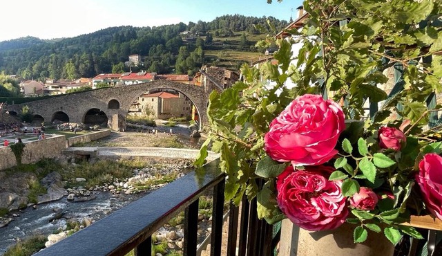 Apartamento colgante al río con vistas al puente