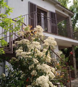 Apartamento con encanto l'Estany 2