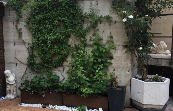 Apartamento con jardin