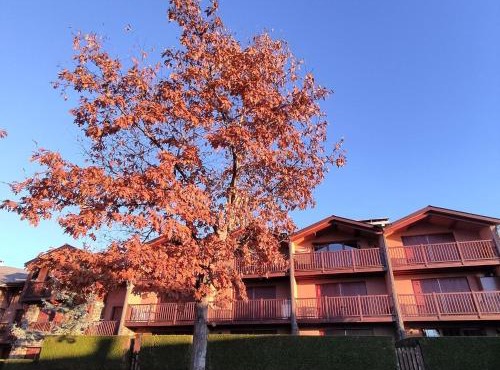 Apartamento con piscina en Santa Leocadia
