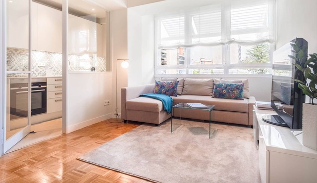 Apartamento en Barrio Salamanca (NUÑEZ DE BALBOA I)