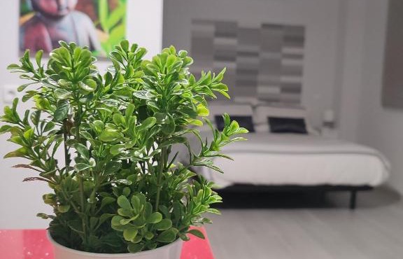 Apartamento Madrid Norte
