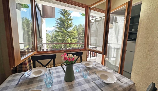 Apartamentos Confort Formigal 3000