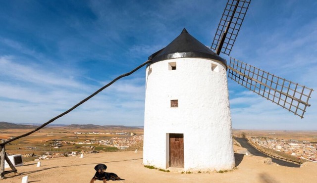 Apartamentos Consuegra