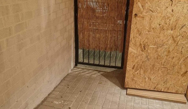 Apartamentos lleo san rius