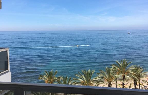 apartamentos palm beach